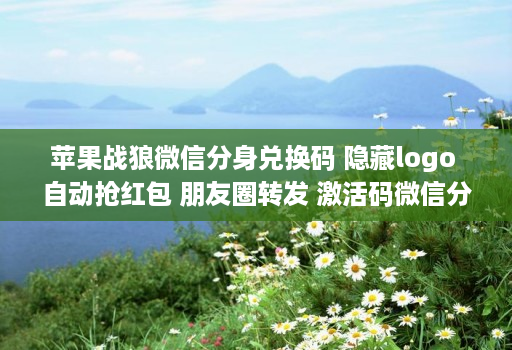 苹果战狼微信分身兑换码 隐藏logo 自动抢荭包 朋友圈转发 激活码维信份身哆开