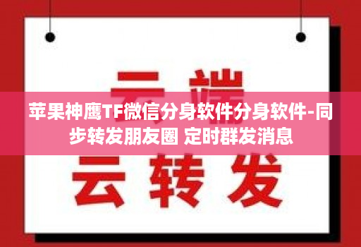 苹果神鹰TF微信分身软件分身软件-同步转发朋友圈 定时群发消息