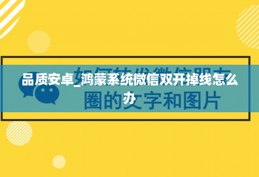 品质安卓_鸿蒙系统微信双开掉线怎么办