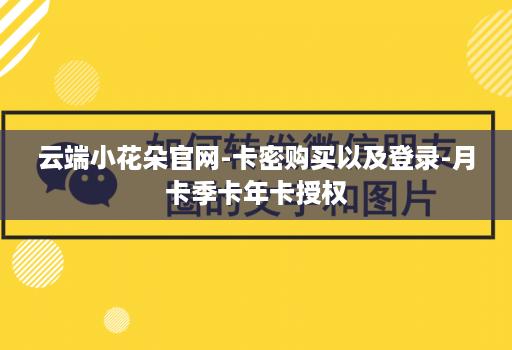 云端小花朵官网-卡密购买以及登录-月卡季卡年卡授权