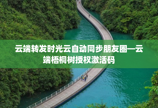 云端转发时光云自动同步朋友圈—云端梧桐树授权激活码