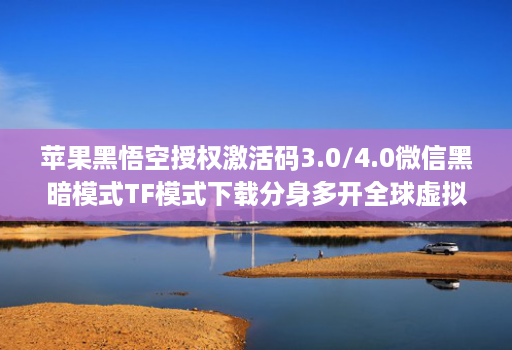 苹果黑悟空授权激活码3.0/4.0微信黑暗模式TF模式下载分身多开全球虚拟定位