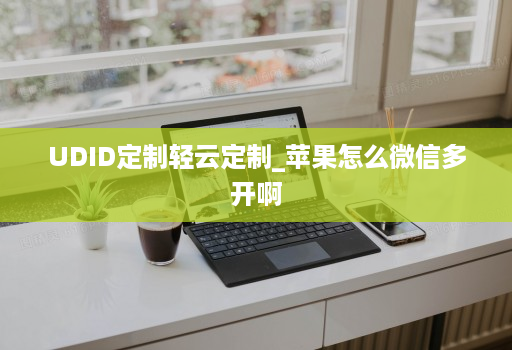 UDID定制轻云定制_苹果怎么微信多开啊