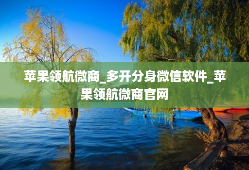 苹果领航微商_多开分身微信软件_苹果领航微商官网