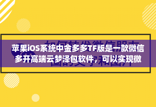 苹果iOS系统中金多多TF版是一款维信哆开高端云梦泽包软件，可以实现微信分身功能