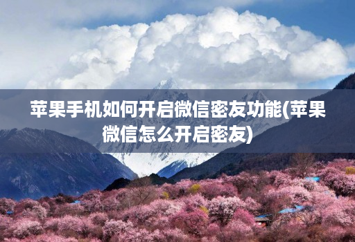 苹果手机如何开启微信密友功能(苹果微信怎么开启密友)