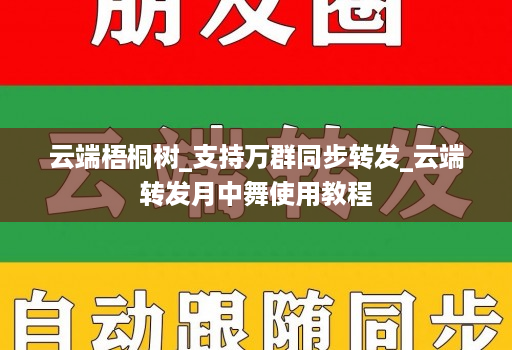 云端梧桐树_支持万群同步转发_云端转发月中舞使用教程