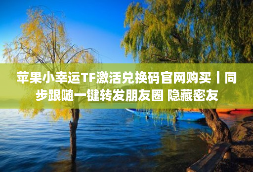 苹果小幸运TF激活兑换码官网购买丨同步跟随一键转发朋友圈 隐藏密友