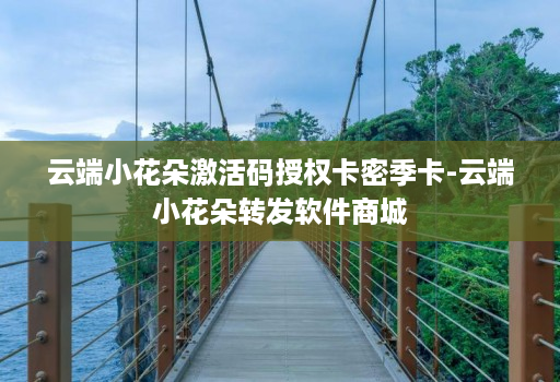 云端小花朵激活码授权卡密季卡-云端小花朵转发软件商城