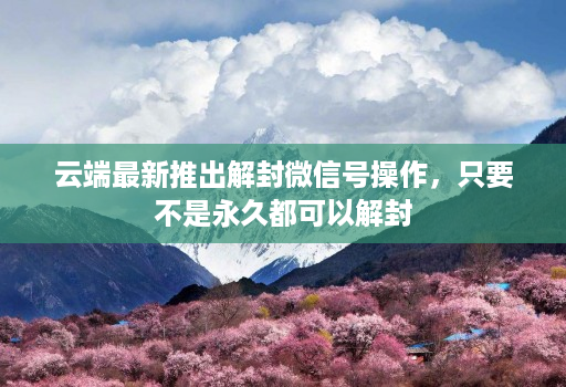 云端最新推出解封微信号操作,只要不是永久都可以解封