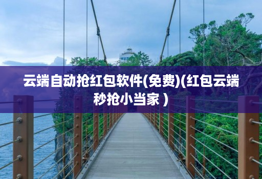 云端自动抢红包软件(免费)(红包云端秒抢小当家 )