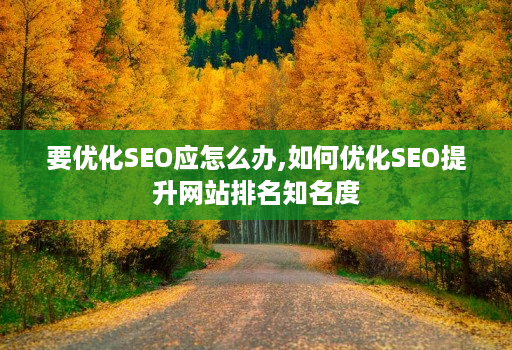 要优化SEO应怎么办,如何优化SEO提升网站排名知名度